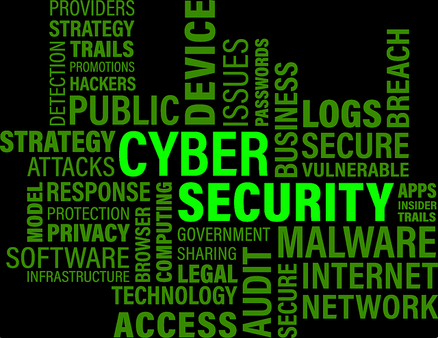 Who is a Cybersecurity Specialist and why my business needs him?